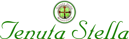 logo grande
